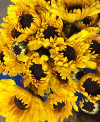 Viking Chrysanthemum Poms Green Flowers Florist Supplies Yellow Flowers