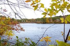 2015 Donation Dedications