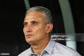 78 William Tite Photos & High Res Pictures