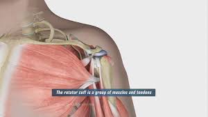 Dynamic assessment for cuff tears. Rotator Cuff Bursitis Video Medical Video Library