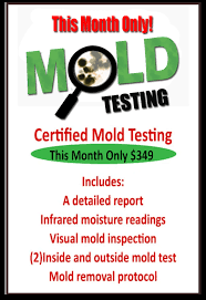 There is no fee to amend or cancel a notification. Mold Testing Certified Lab Mold Testing New England