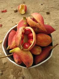 How many of these foreign produce items can you name? Tabacoumba African Fruit Want To Taste This Still So Many Fruits To Try Fruit Delicious Fruit Fruit And Veg