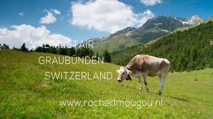 It had an area of 1,196.55 square kilometers and a population of 9,200. Val Mustair Graubunden Switzerland Youtube