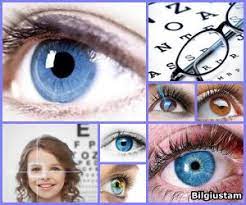 Goz Sagligi Goz Vitaminleri Ve Besinleri Nelerdir Goz Vitaminlerinin Islevi Nedir Bilgiustam