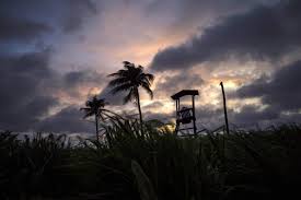 The trees took a pounding. Officials Storm Lashing Florida Strengthens Into Hurricane