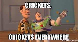 Cricket memes part 10 funny cricket memes ipl memes. Crickets Crickets Everywhere Buzz And Woody Toy Story Meme Make A Meme