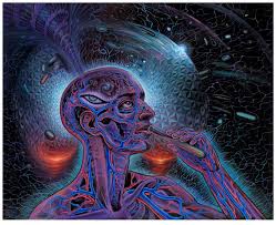 Check spelling or type a new query. Psychedelic Spirit Paintings Alex Grey Art Gallery Karma Jello Alex Grey Art Spirit Painting Grey Art