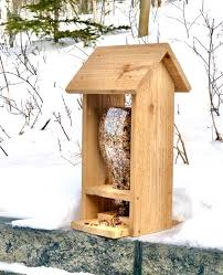 Bird Feeder Pulley System Wood Bird Feeder In 2020 Wood Bird Feeder Wooden Bird Feeders Wood Bird