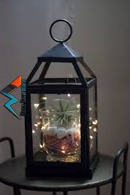 Air Plant Lantern With Fairy Lights Air Plant Holder Hanging Air Plant Holder Terrarium Air Products Pinterest Air Plants Plants And La Lantern With Fairy Lights Hanging Air Plants Lanterns Decor