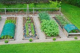 We did not find results for: The Ultimate Guide To Using Shade Cloth In Your Garden In 2020