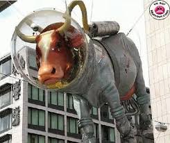 R�sultat de recherche d'images pour "image humoristique grenouille et la vache"