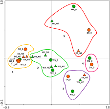 Image result for Sporobolus molleri