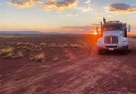 Image result for Brown 2021 Fleet