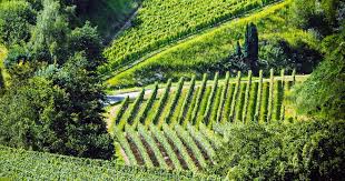Structure Et Fonctionnement Des Agrosystemes Planet Vie
