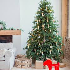 Maybe you would like to learn more about one of these? Guirlande De Noel Lumineuse 50 Bougies A Pince Pour Sapin Leroy Merlin