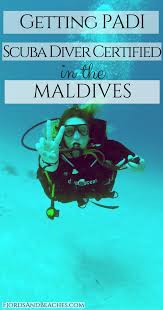 What Is A Scuba Dive Computer