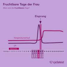 Schwangerschaftsanzeichen Symptome Erkennen Cyclotest