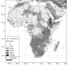 Check spelling or type a new query. A Revision Of The Old World Black Nightshades Morelloid Clade Of Solanum L Solanaceae