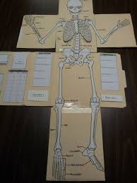 Pin On Teacher Resources