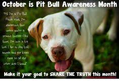 Pin By Alex Huerta On Pit Bull Love Animales Cachorros Mascotas