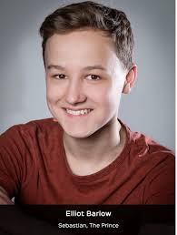 Cinderella ~ The Ash Girl