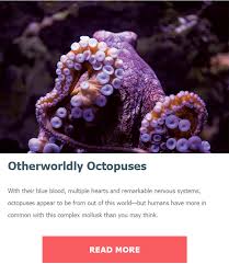 50 Off National Aquarium Baltimore Coupons Promo Codes November 2020