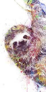 Sloth Sloth Drawing Sloth Art Animal Drawings