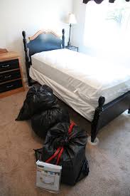 That's because bed bugs tend to get around by attaching themselves to clothing or bedding in homes and hotels. What Is A Bed Bug Interceptor Insects In The City