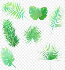 Vector Graphics Image Clip Art Leaf Stock Xchng Png 803x881px Leaf Aquarium Decor Arecales Branch Cartoon Try to search more transparent images related to tropical leaves png |. vector graphics image clip art leaf