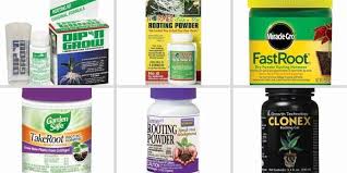 Check spelling or type a new query. 10 Best Rooting Hormone Choices Of 2020 Reviews Yhmag