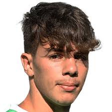 Nathan Beagley FM 2021 Profile, Reviews