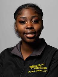 Military and Veterans Affairs Ambassadors