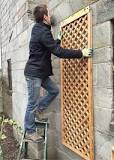 How to install a trellis against a wall - Jackson's Nurseries