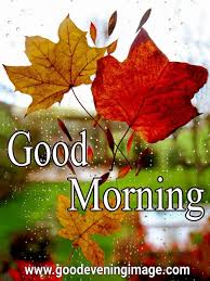 तसेच जर का तुम्ही good morning images in marathi च्या शोधात असाल तर तर लेखात आम्ही सुंदर असे good morning msg in marathi with images दिले आहेत, या मित्रांनो मला आशा आहे तुम्हाला आम्ही इथे दिलेले good morning thoughts in marathi आवडतील. Best Good Morning Images Good Morning Wishes And Pictures