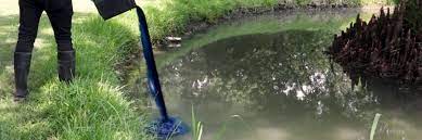 We did not find results for: How To Control Hydrilla Solutions Pest Lawn