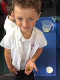 St Bernard's Catholic Primary