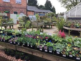 Our flower planters and hanging planters add an elegant touch to indoor and outdoor plants. Plants For Sale Garden Shop Birmingham Botanical Gardens