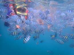 Pakej 3 hari 2 malam fullboard. Pakej Pulau Perhentian 2021 Snorkeling Penginapan Bot