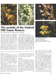 Image result for Eulophia ensata