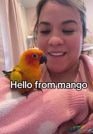 How to Create Nail Piercings Tutorial