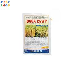 Sasa 25WP