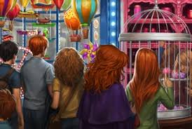 Image result for tbn:cwVrSrWzM5GfbM::harrypotterrecopilac.galeon.com/foto_todos.jpg