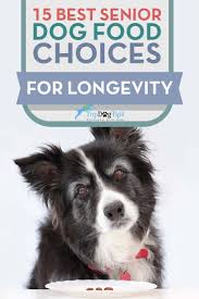 So, a wet formula will go down much easier and won't harm your dog's teeth. 45 Best Senior Dog Foods For Health And Longevity Best Senior Dog Food Senior Dog Food Recipes Senior Dog