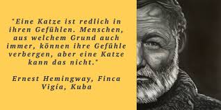 Hat schon mal jemand #justtattooofus gesehen? Der Schonste Hemingway Satz Katzengefuhle Hemingways Welt