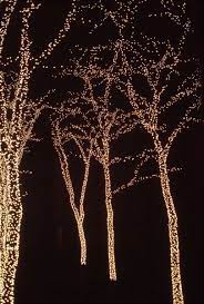 Tavern On The Green A Photo From New York Northeast Trekearth Tavern On The Green New York Christmas Christmas Lights Outside