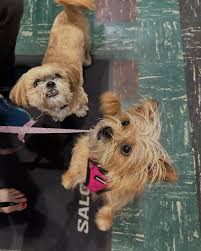 Robinson's Outdoor Store