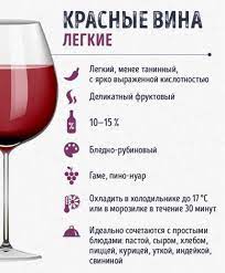 Want To Learn To Understand Wine Then This Post Is For You On The Threshold Of March 8 Wine Drinks Fruit Wine Drinking Wine Quotes