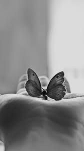 Color mostly has a symbolic and aesthetic . Aesthetic Black White Wallpapers Wallpaper Cave
