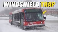 10 Hated Buses With Single Piece Windshield