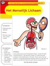 Pdf Werkboek En Infoboek Menselijk Lichaam Het Menselijk Lichaam Menselijk Lichaam Knutselen